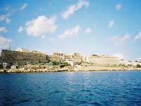 manoelfort