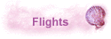Flights
